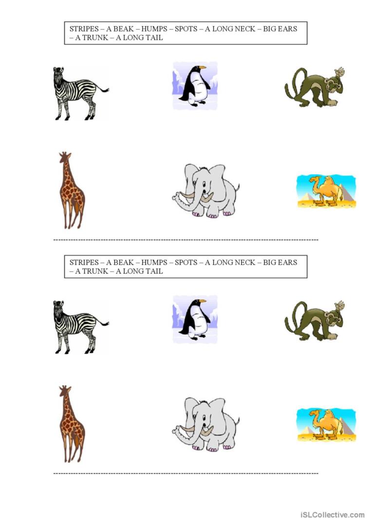 Animal´s body parts