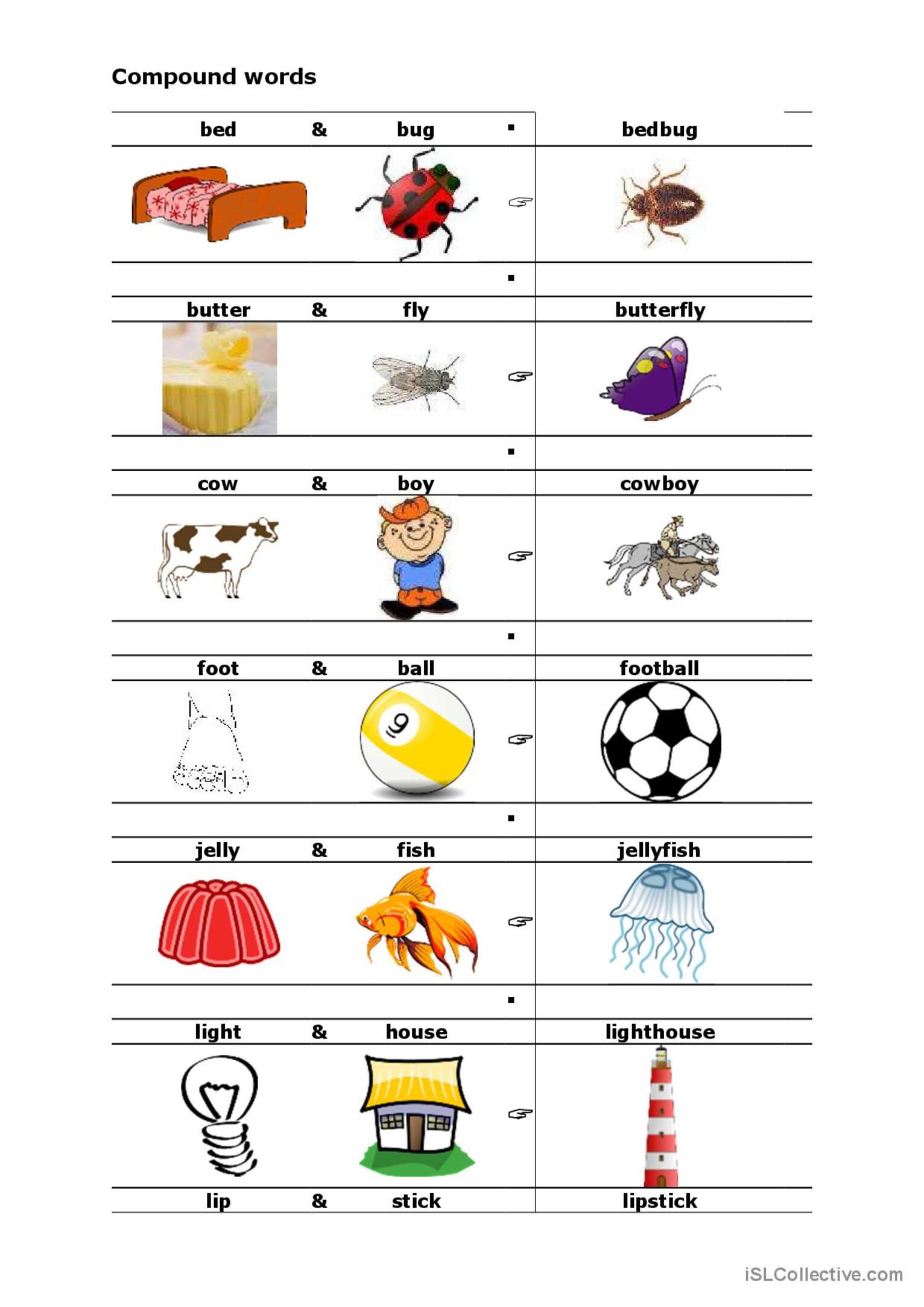 Compound Words: English ESL worksheets pdf & doc