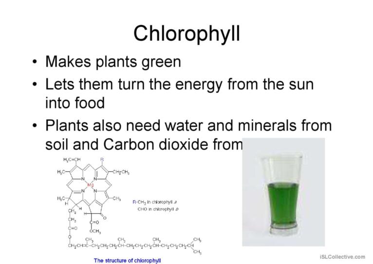 Biology classification