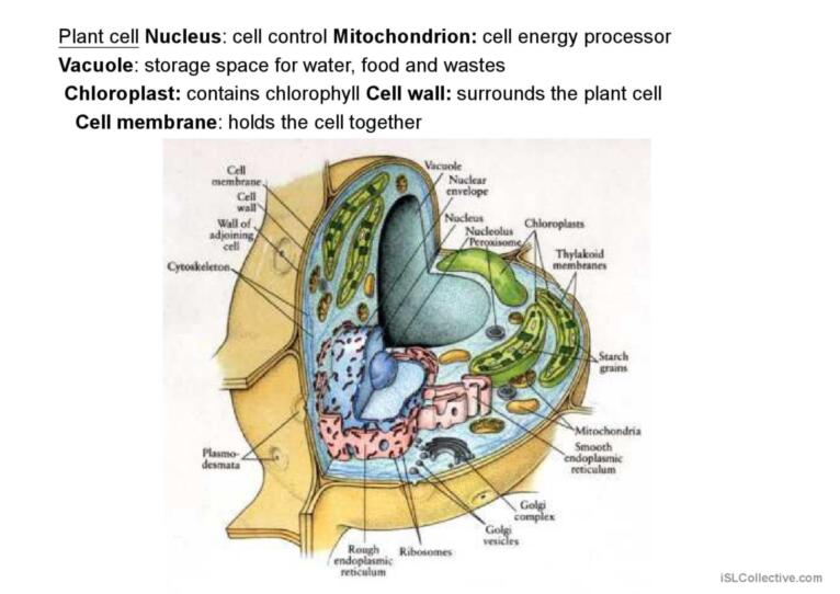 Biology classification