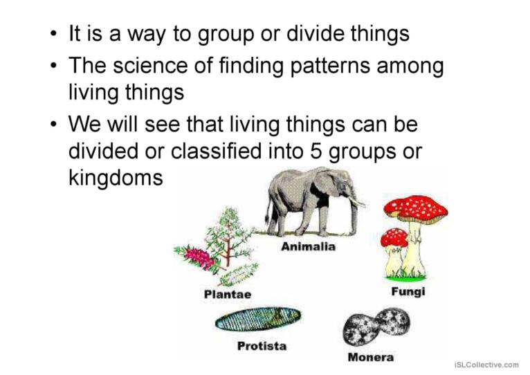 Biology classification