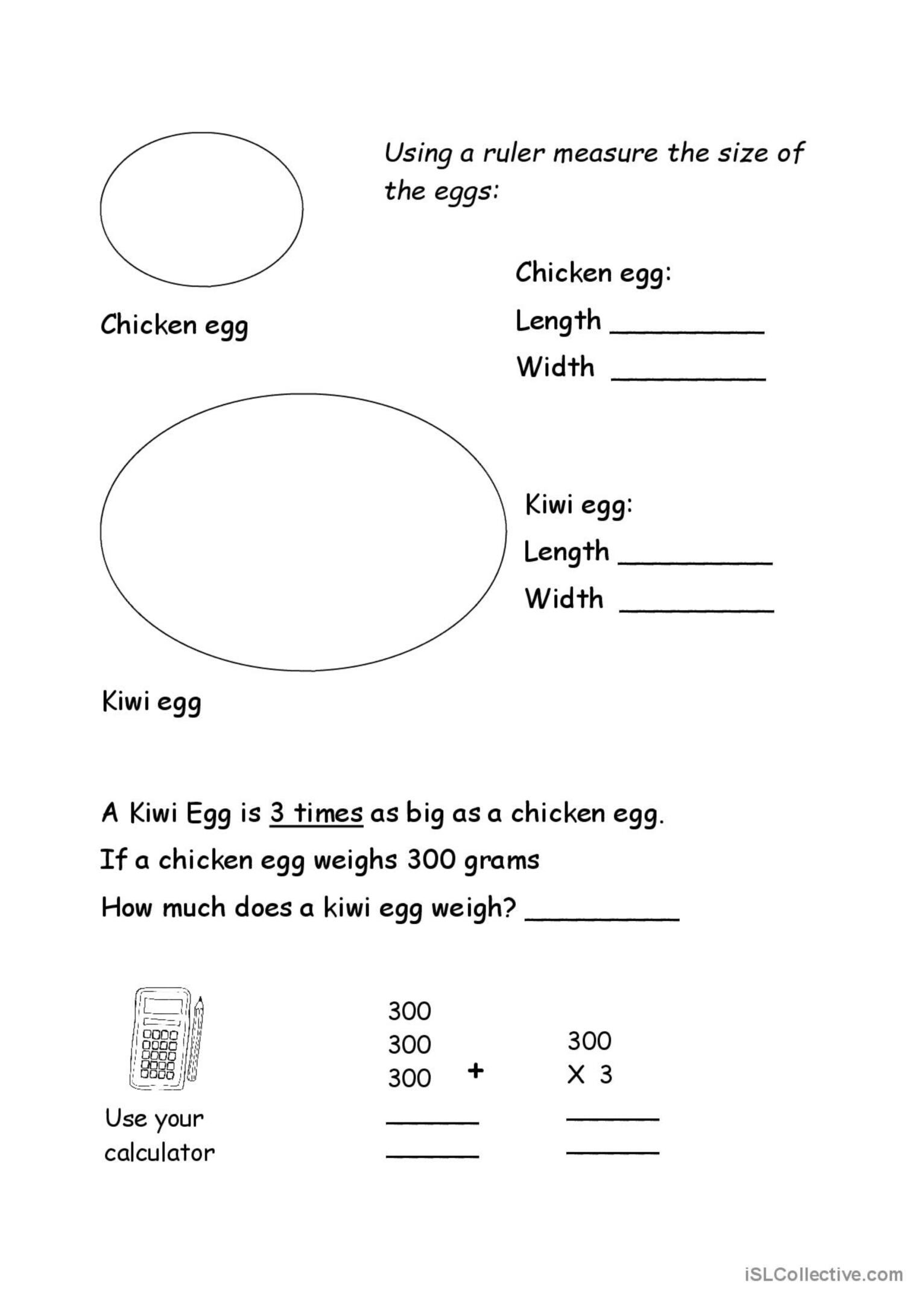 new-zealand-english-esl-worksheets-pdf-doc