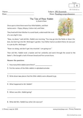 Reading Comprehension - The Tale of Peter Rabbit