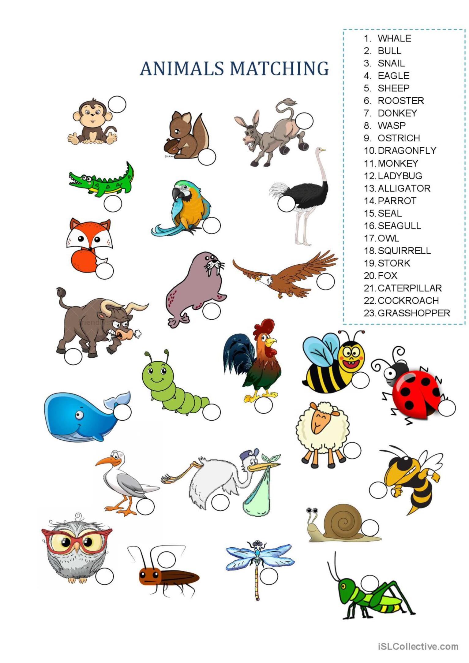 Animals vocabulary pictionary (pictu…: English ESL worksheets pdf & doc