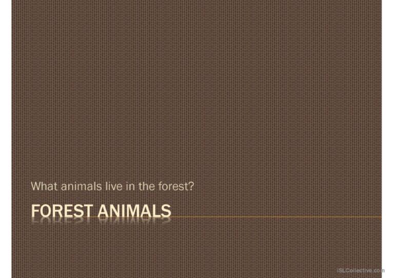 Discussion - Forest Animals