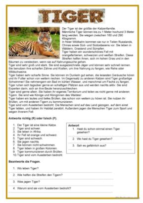 Einfache Texte - Tiger